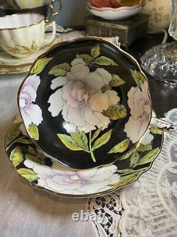Rare Paragon Cabbage Rose Pink White Black Gardenia Cup Saucer To The Bride 5776