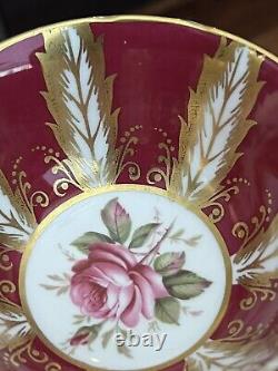 Rare Paragon Red & Gold Feather Teacup & Saucer Gold Gilt Pink Cabbage Rose
