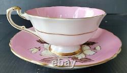 Rare! Paragon Vintage Wide Mouth Teacup & Saucer Set Pink With Wild Rose Pattern