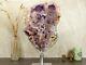 Rare Pink Amethyst Geode On Rotating Stand, Large Brazilian Rose Amethyst