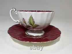 Rare Red Aynsley Teacup With Pink Cabbage Roses Tea Cup