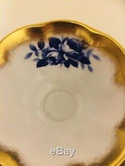 Rare Royal Albert Treasure Chest Series Blue Rose Tea Cup And Saucer Avon Shape