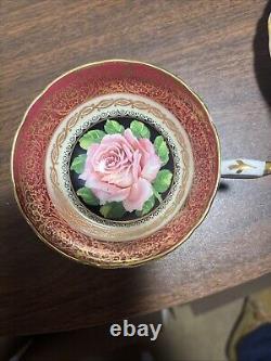 Rare and Desirable Large Rose Paragon Teacup and Saucer