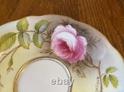 Rare and Stunning EB Foley Teacup and Saucer Pink Cabbage Rose Signed A. Taylor