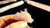 Rose Quartz Crystals Aka Pink Quartz Crystals For Healing Or Specimen