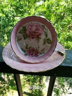 SPECTACULAR and RARE Pink Aynsley Cabbage Rose Teacup and Saucer Massive Roses