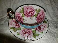 STUNNING and RARE Aynsley 9 Pink Cabbage Roses Teacup and Saucer BLUE- EXCELLENT