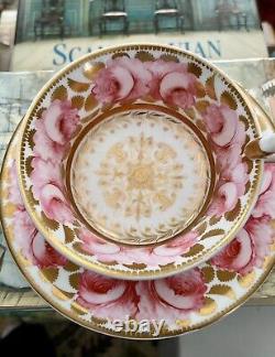 Spode Cabbage Rose Tea Cup And Saucer. Very Rare Early 1807 Spode