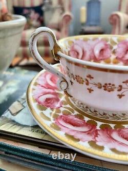 Spode Cabbage Rose Tea Cup And Saucer. Very Rare Early 1807 Spode