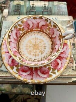 Spode Cabbage Rose Tea Cup And Saucer. Very Rare Early 1807 Spode