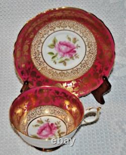 Stunning Rare Double Warrant Paragon with Pink Cabbage Roses, Teacup & Saucer