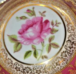 Stunning Rare Double Warrant Paragon with Pink Cabbage Roses, Teacup & Saucer