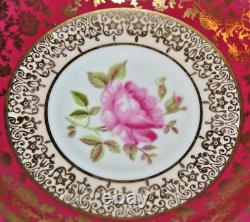 Stunning Rare Double Warrant Paragon with Pink Cabbage Roses, Teacup & Saucer