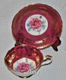 Stunning Rare, Paragon with Large Pink Cabbage Roses, Bone China Teacup & Saucer