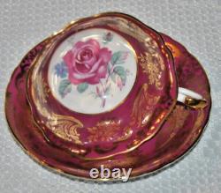 Stunning Rare, Paragon with Large Pink Cabbage Roses, Bone China Teacup & Saucer