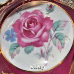 Stunning Rare, Paragon with Large Pink Cabbage Roses, Bone China Teacup & Saucer