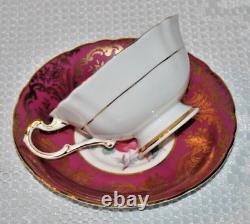 Stunning Rare, Paragon with Large Pink Cabbage Roses, Bone China Teacup & Saucer