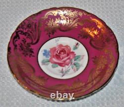 Stunning Rare, Paragon with Large Pink Cabbage Roses, Bone China Teacup & Saucer