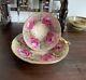 Ultra Rare Aynsley Pink 13 Cabbage Roses Heavy Gold Exterior Teacup And Saucer