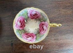 Ultra Rare Aynsley Pink 13 Cabbage Roses Heavy Gold Exterior Teacup and Saucer