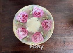 Ultra Rare Aynsley Pink 13 Cabbage Roses Heavy Gold Exterior Teacup and Saucer