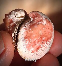 Unique Rare pink Rhodochrosite full Pseudomorphose by the bivalve Shell