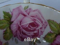 Vintage Rare Aynsley Cabbage Rose Teacup And Saucer