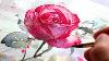 Watercolor Tutorial For Beginners How To Paint A Rose In 5 Steps